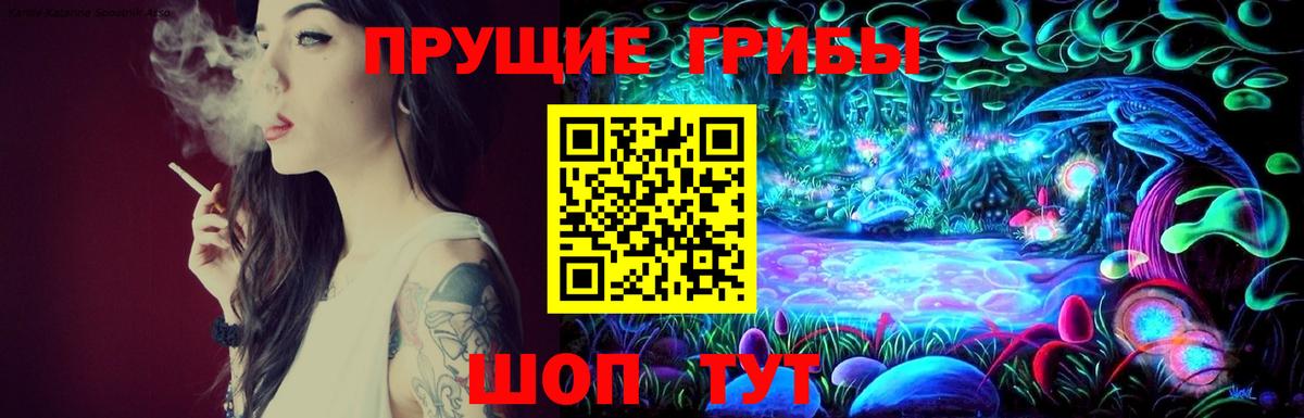 Галлюциногенные грибы Cubensis Серов