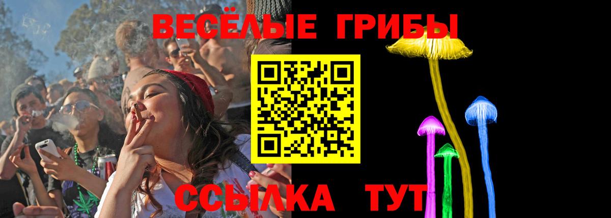 Серов  Псилоцибиновые грибы мухоморы  Галлюциногенные грибы ЛСД  Вход с VPN 